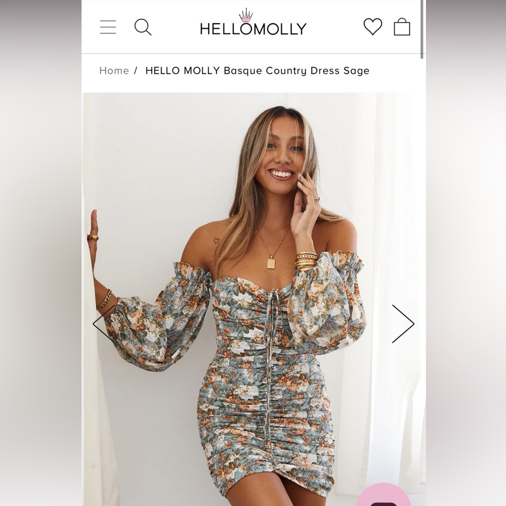 🏵️Hello Molly Basque Country Dress in Sage🏵️